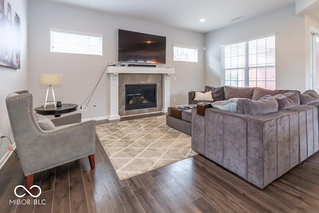 living room with a fireplace and wood-type flooring