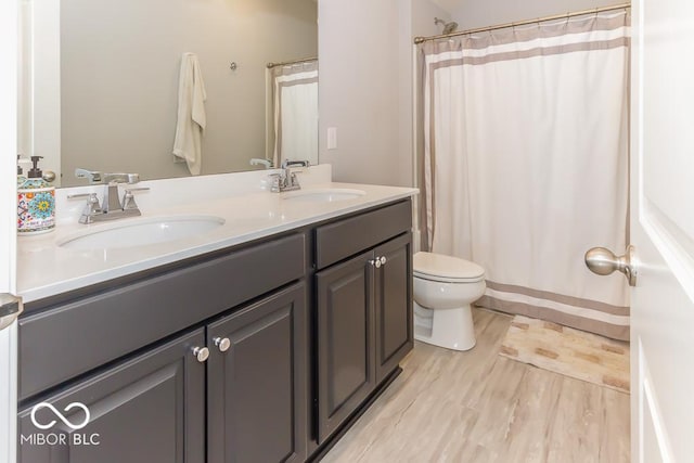 bathroom with vanity, toilet, and wood-type flooring