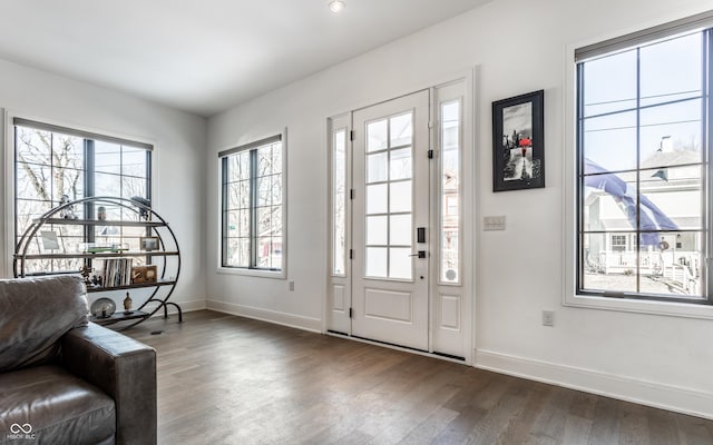 entrance foyer with dark wood-type flooring