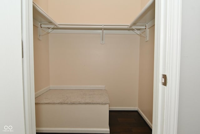 walk in closet featuring dark wood-type flooring