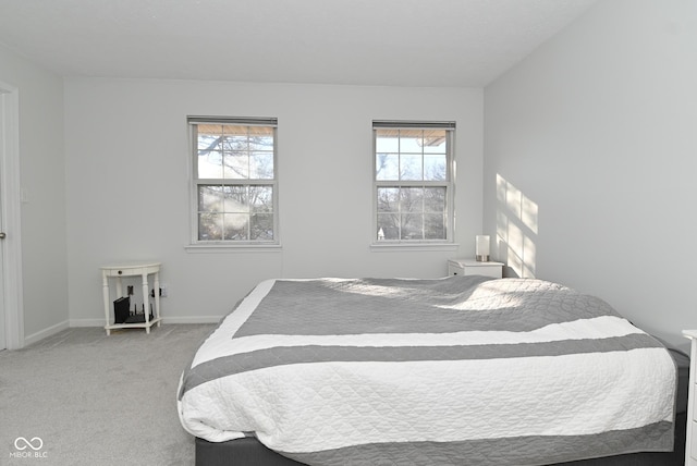 bedroom featuring multiple windows and carpet floors