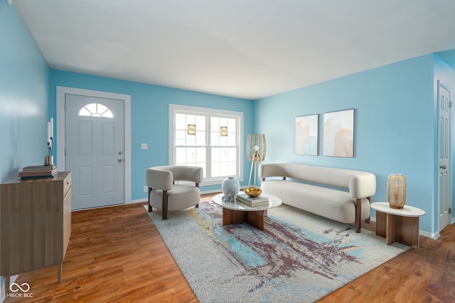 living room with hardwood / wood-style floors