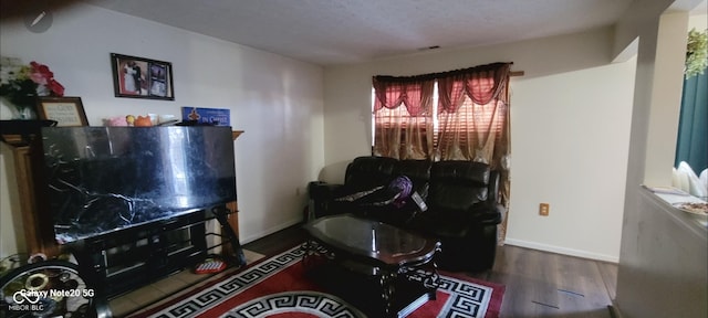 living room with dark hardwood / wood-style floors