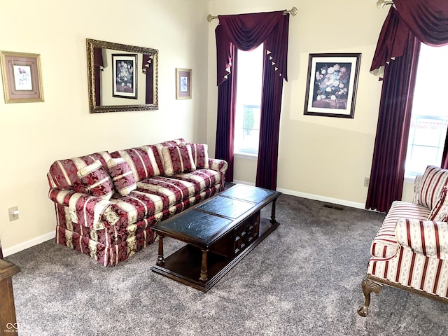 carpeted living room with a healthy amount of sunlight