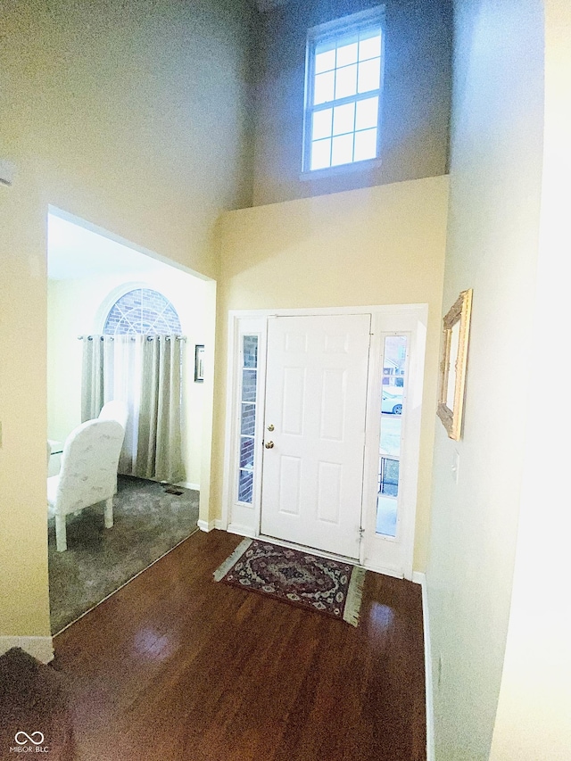 entryway with hardwood / wood-style floors and a high ceiling