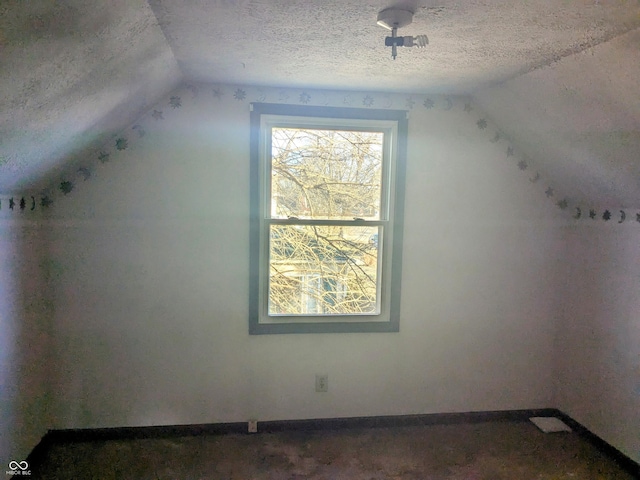 additional living space with lofted ceiling and a textured ceiling