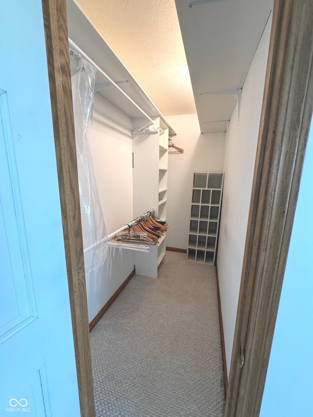 spacious closet featuring light carpet