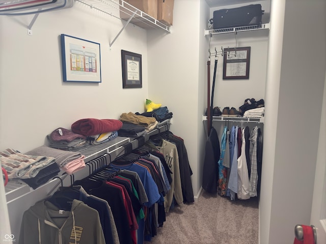 spacious closet with carpet