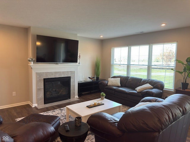 19438 Astoria Ave, Sheridan, IN 46069 - living area with wood finished floors, healthy amount of natural light, baseboards, a fireplace, and recessed lighting