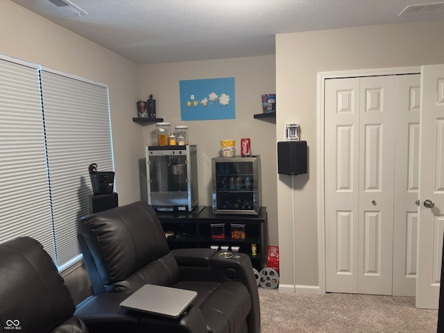 19438 Astoria Ave, Sheridan, IN 46069 - living area featuring carpet flooring and baseboards