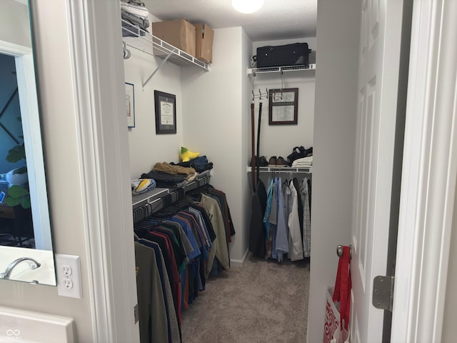 19438 Astoria Ave, Sheridan, IN 46069 - spacious closet featuring carpet