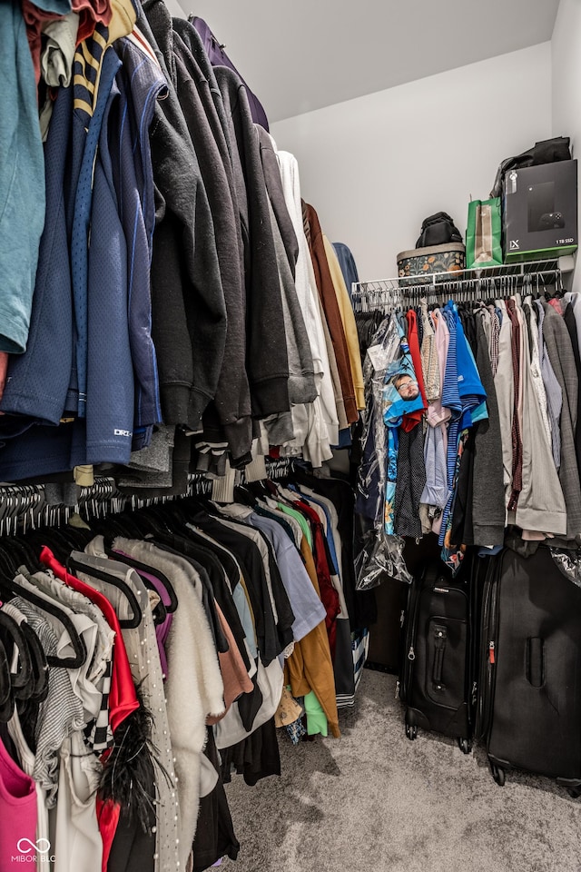 walk in closet featuring carpet floors