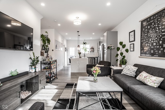 living room featuring light hardwood / wood-style floors