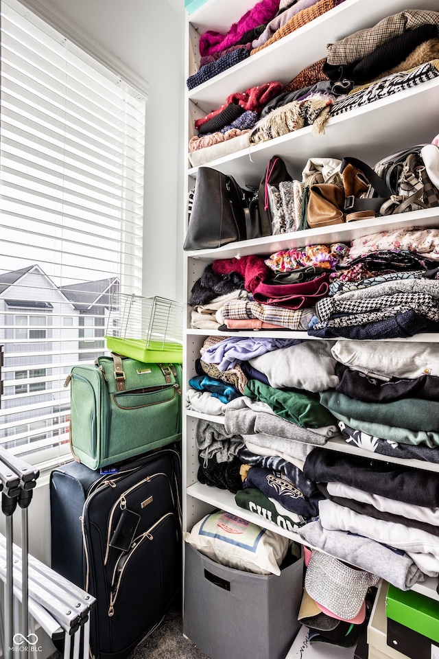 view of walk in closet