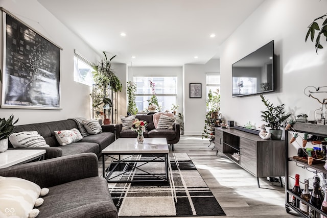 living room featuring light hardwood / wood-style flooring