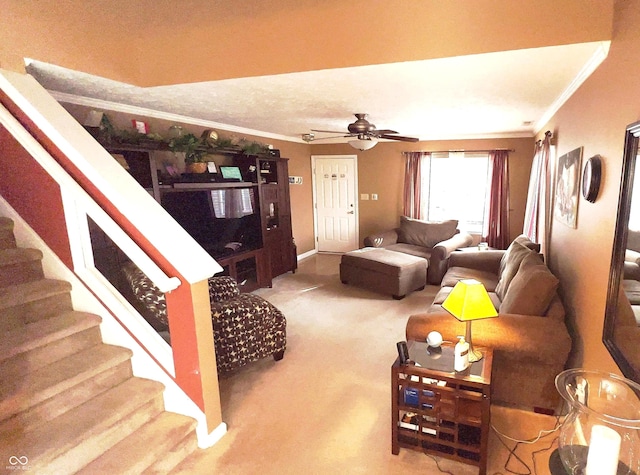 living room featuring crown molding, ceiling fan, and carpet floors