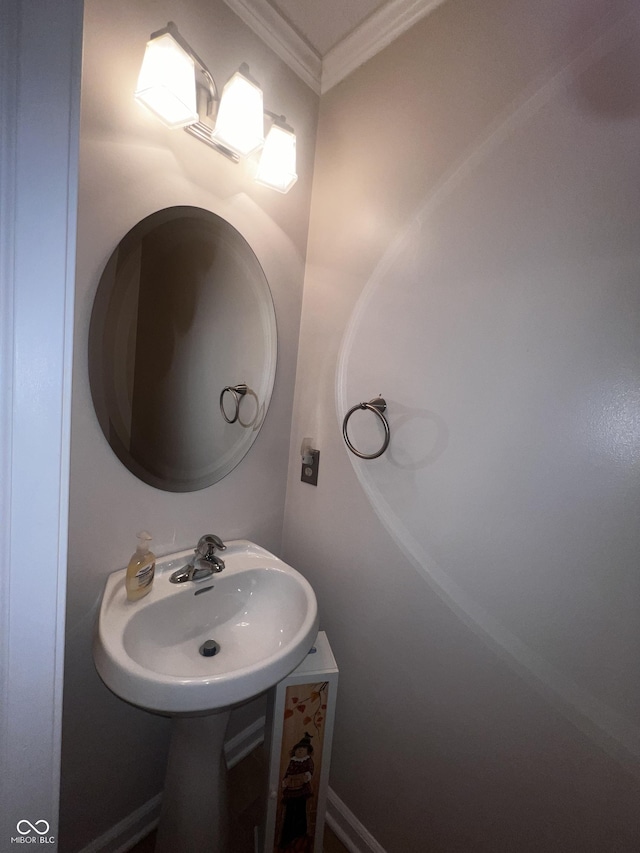 bathroom with ornamental molding and sink