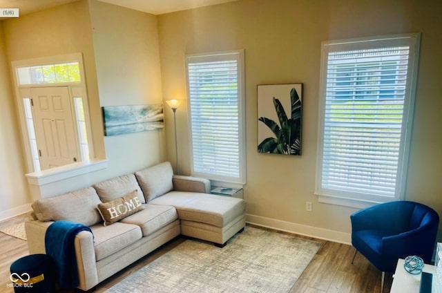 living room with plenty of natural light and light hardwood / wood-style flooring