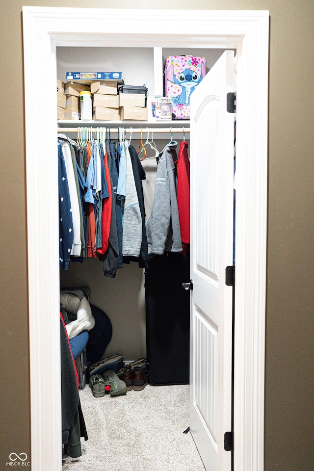 view of closet