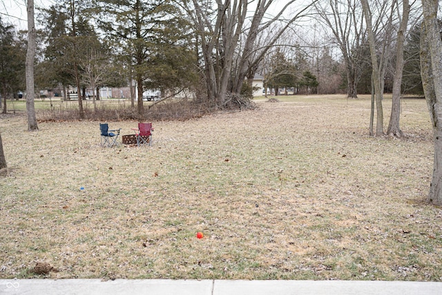 view of yard