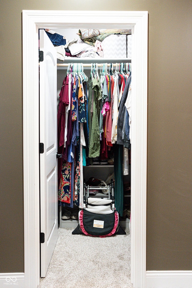 view of closet