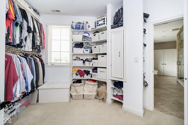 spacious closet with light colored carpet