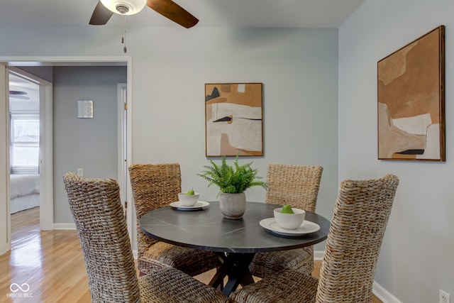 dining area with ceiling fan and light hardwood / wood-style floors