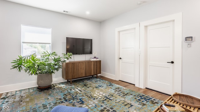 living room featuring wood-type flooring