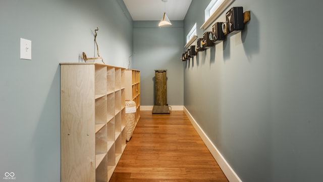 hallway with wood-type flooring