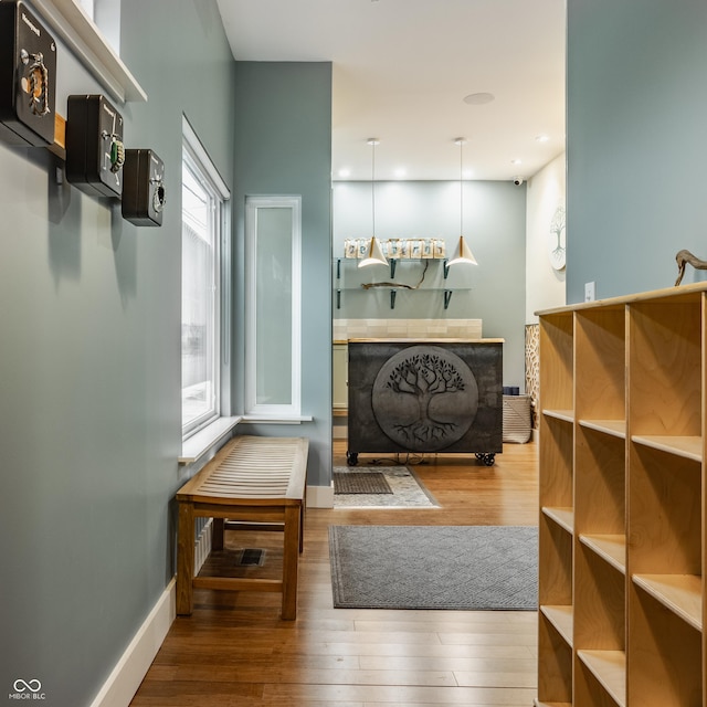 living area featuring wood-type flooring