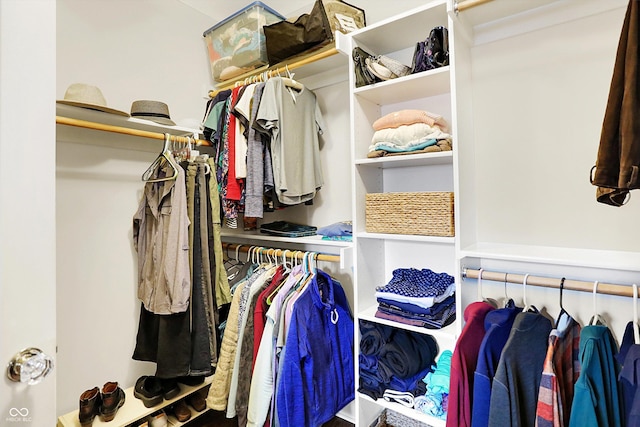 view of spacious closet