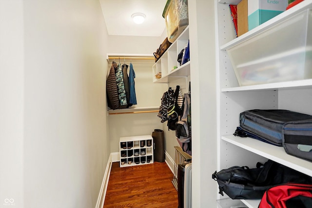 spacious closet with wood finished floors