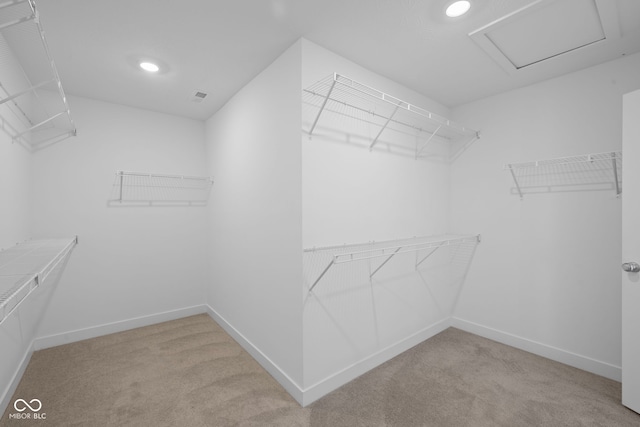 walk in closet featuring light carpet