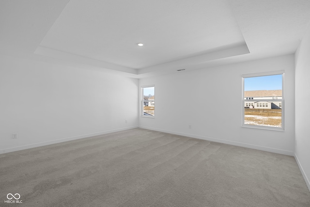 carpeted empty room with a healthy amount of sunlight and a tray ceiling