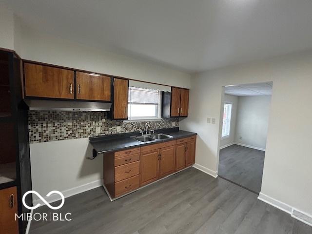 kitchen with sink, decorative backsplash, and hardwood / wood-style floors