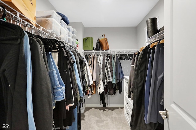 spacious closet with light carpet