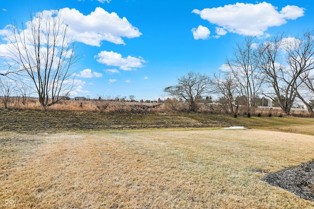 view of yard featuring a rural view