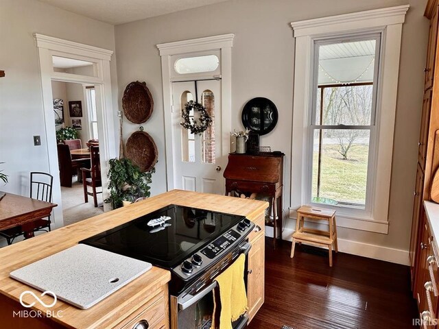 12801 E Edgewater Rd, Albany, IN 47320 - kitchen with butcher block countertops, black electric range oven, baseboards, and dark wood finished floors