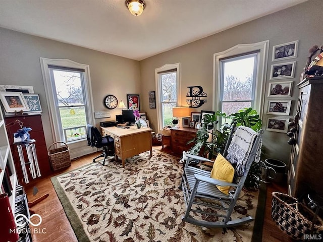 12801 E Edgewater Rd, Albany, IN 47320 - office featuring plenty of natural light and light wood-style floors
