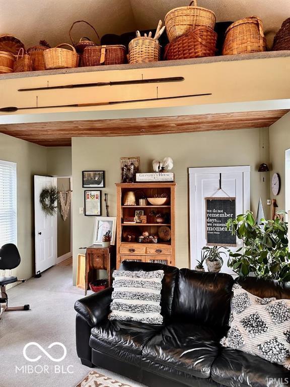 12801 E Edgewater Rd, Albany, IN 47320 - living area featuring carpet floors