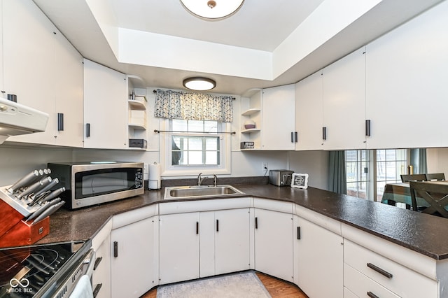 kitchen with white cabinetry, appliances with stainless steel finishes, sink, and extractor fan