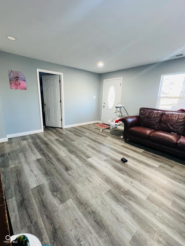 living room with wood-type flooring