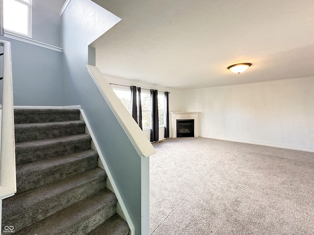 stairway featuring carpet floors