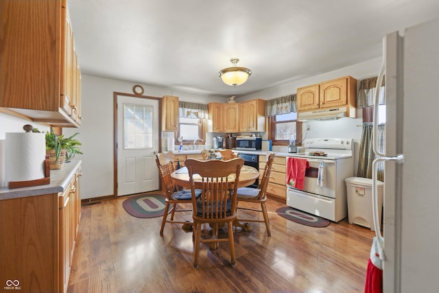 kitchen featuring light hardwood / wood-style flooring, black dishwasher, and white range with electric stovetop