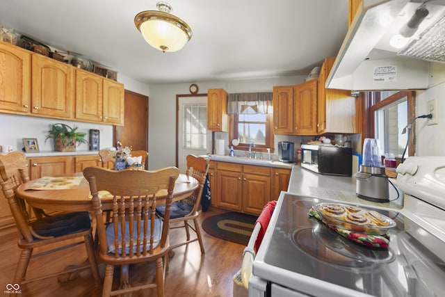 kitchen with electric stove, sink, light wood-type flooring, and island exhaust hood