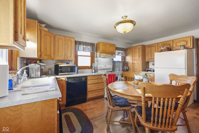 kitchen featuring sink, white appliances, and dark hardwood / wood-style floors