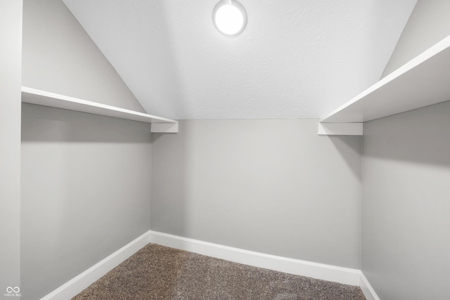 spacious closet featuring vaulted ceiling and carpet