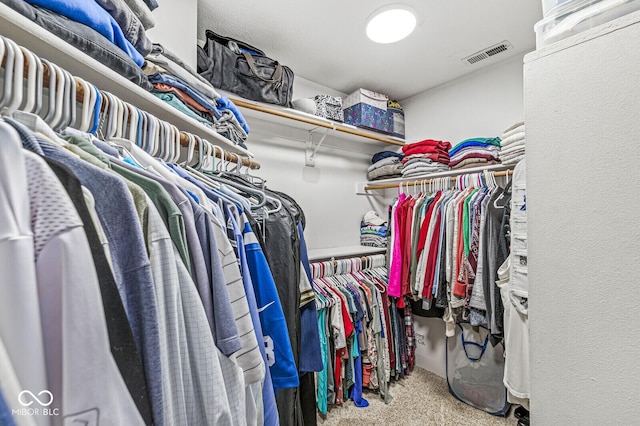 spacious closet with carpet flooring