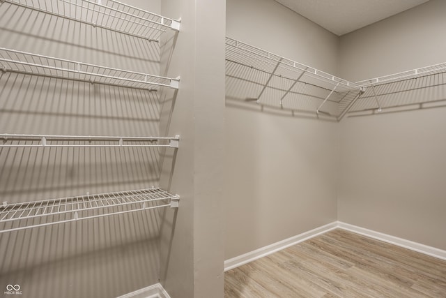 spacious closet with hardwood / wood-style flooring