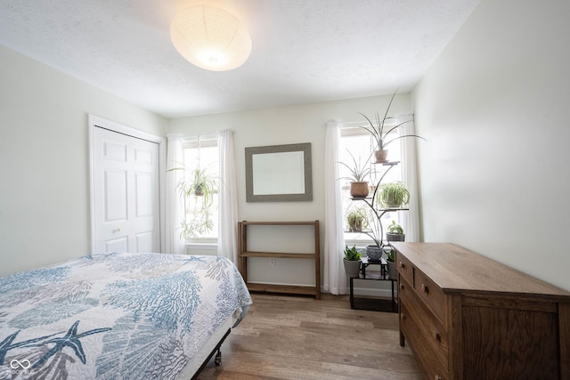 bedroom with light wood-style floors, multiple windows, and a textured ceiling